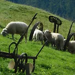 & Wellness Zorhill 3* Ždiar