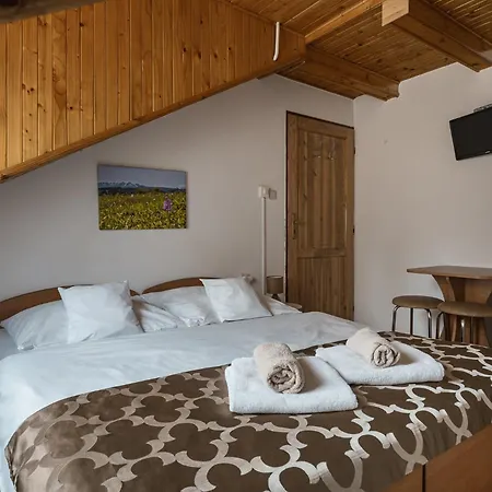 Pensionat & Wellness Zorhill 3*