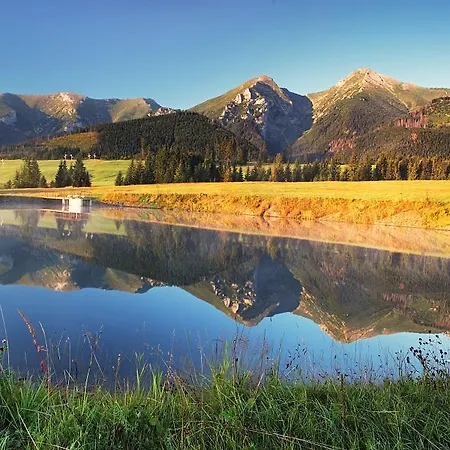 & Wellness Zorhill Pensionat