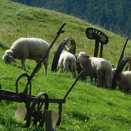 & Wellness Zorhill 3* Ždiar