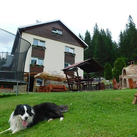Vendégház & Wellness Zorhill Sebesér