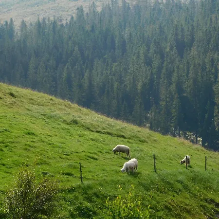 Spa&wellness Zorhill Ždiar